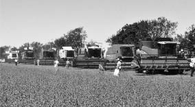 CAMPO_P7_ABRE.jpg