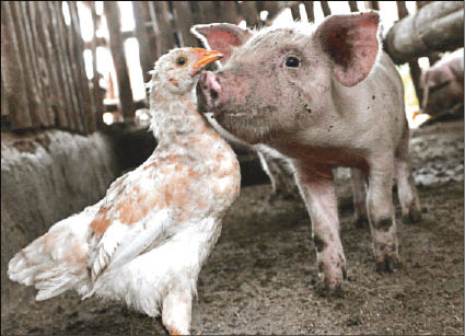 CAMPO_P2_LAFOTO.JPG