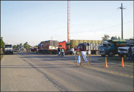 CAMPO_P3.JPG