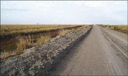 CAMPO_P6.JPG