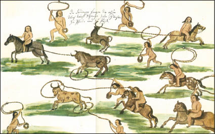 CAMPO_P8.JPG
