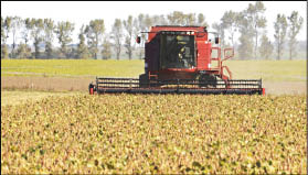 CAMPO_P11_ABRE.JPG