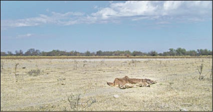 CAMPO_P8Y9_C_LA_QUE_FALTA.JPG