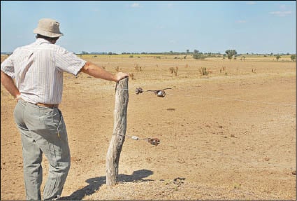 CAMPO_P3.JPG