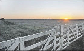 CAMPO_P11.jpg