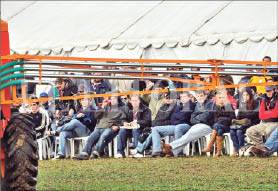 CAMPO_P10ABRE.JPG