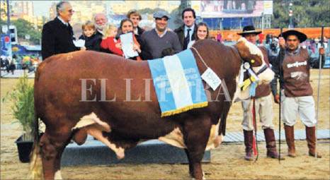 “Felipe”, torazo en todos los rodeos “Felipe”, torazo en todos los rodeos