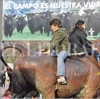 CAMPO_P16A.JPG