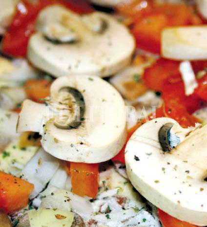 HONGOS.JPG