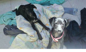 IMG-20121102-WA0002.JPG
