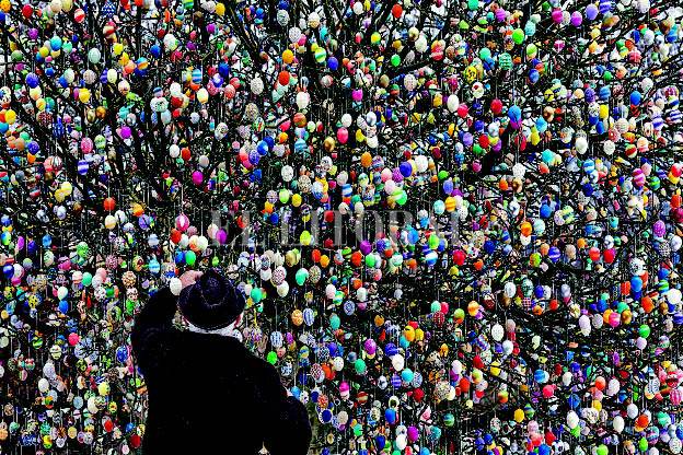 LA FOTO /// El árbol de los huevos LA FOTO /// El árbol de los huevos