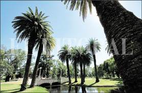a_IMG_2687.JPG