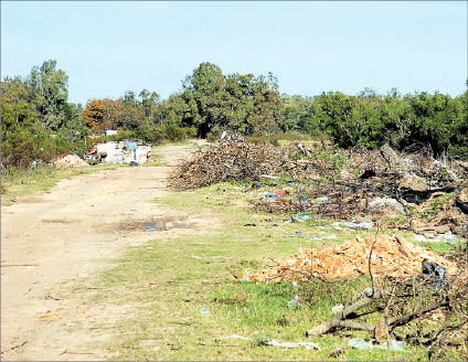 6 basura_fr.jpg