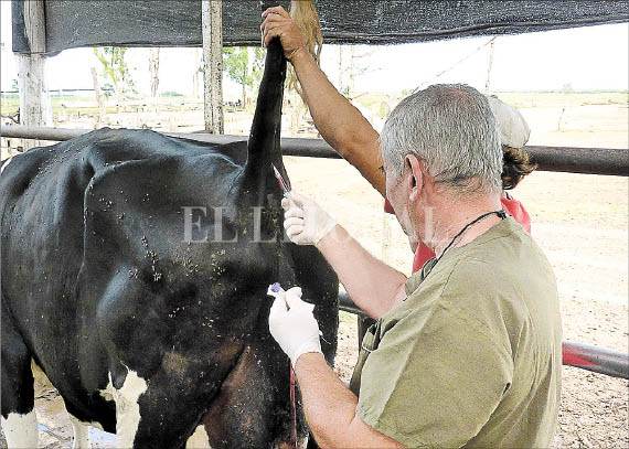 Una profesión que crece con el campo Una profesión que crece con el campo