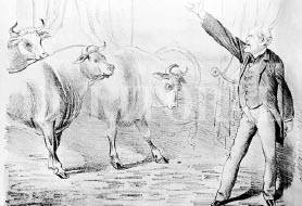 4_SARMIENTOANTITAURINO.JPG