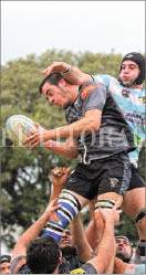 D8-C-IMG_7943.jpg