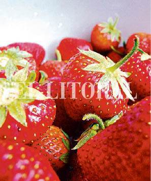 20_FRUTI.JPG