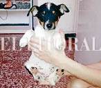 24_1_A_BAZOO COLLAGE IMAGEN2015101812256.JPG
