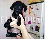 24_1_C_BAZOO COLLAGE IMAGEN20151018122621.JPG