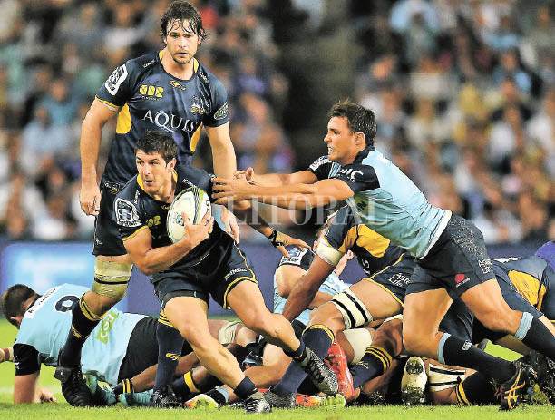 Un crack, en Brumbies y en Los Pumas Un crack, en Brumbies y en Los Pumas